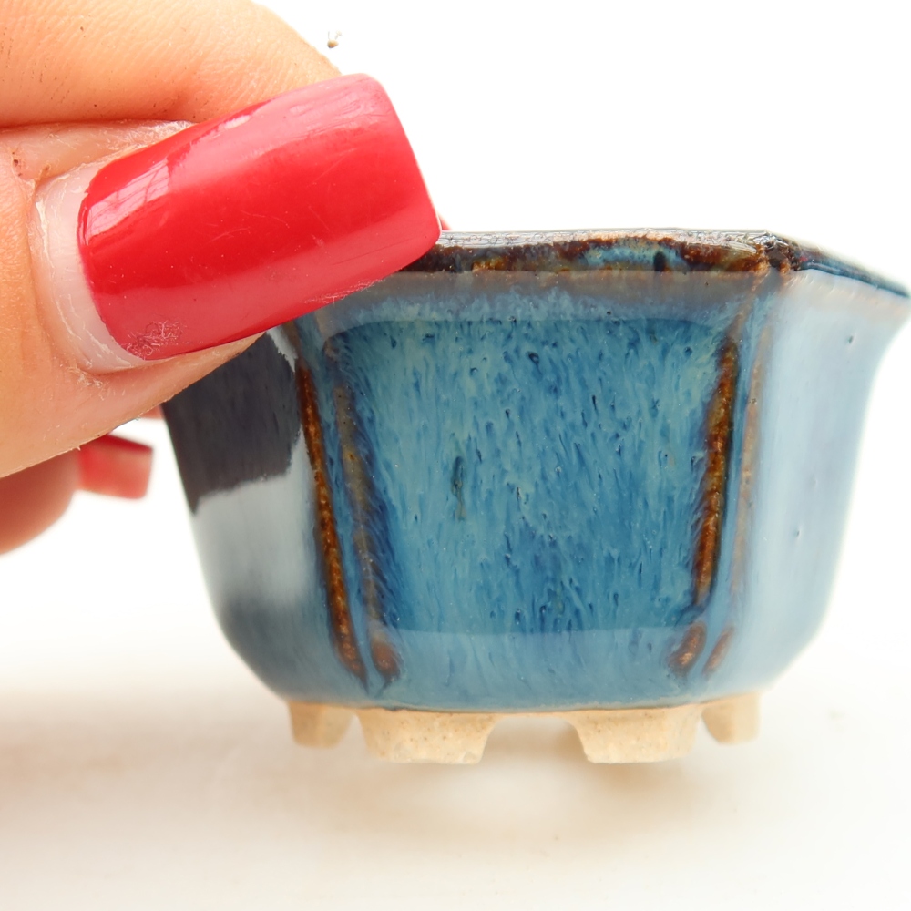 Vaso da bonsai in ceramica 5,5 x 5 x 3 cm, colore blu