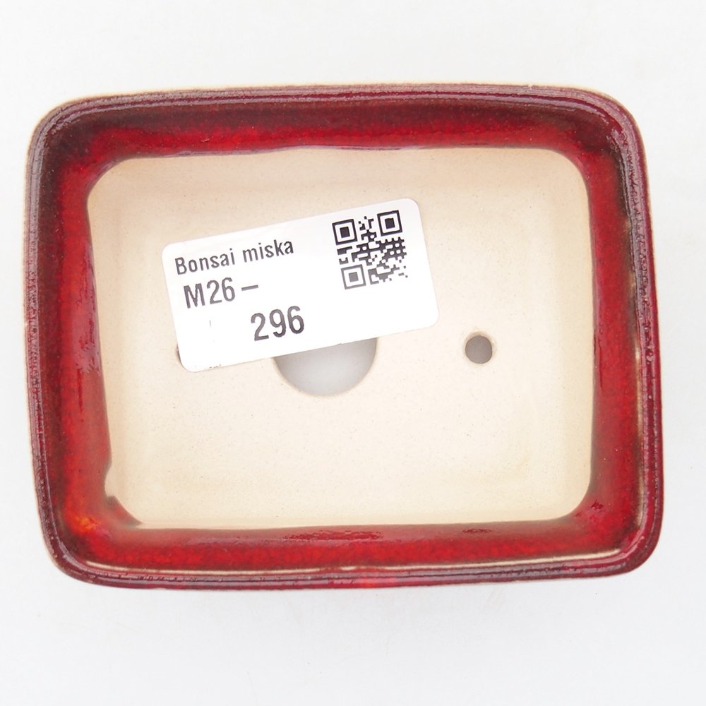 Mini bonsai 8,5 x 6,5 x 3,5 cm, colore rosso