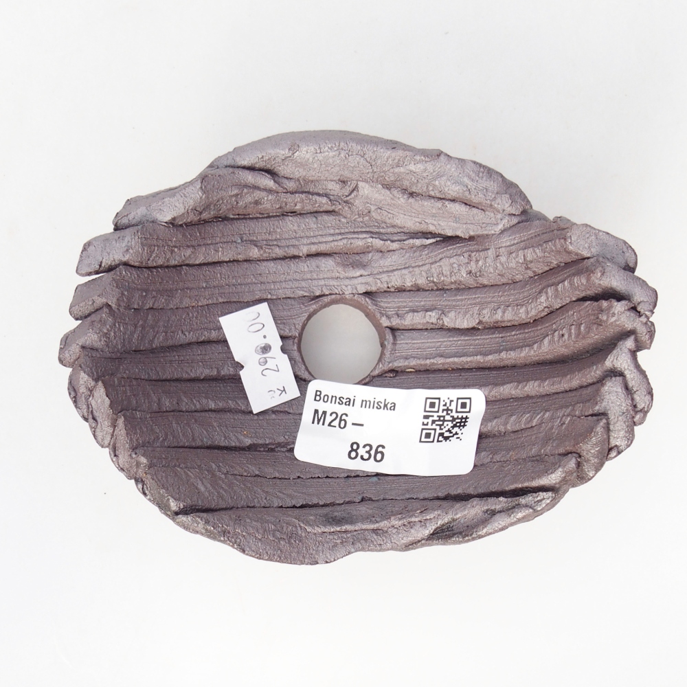 Conchiglia in ceramica 11 x 8,5 x 6 cm, colore metallizzato