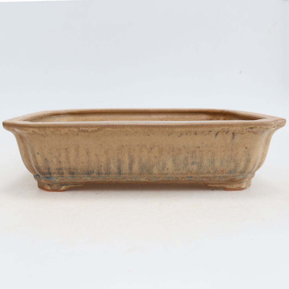 Ciotola bonsai in ceramica 27,5 x 21,5 x 7 cm, colore beige