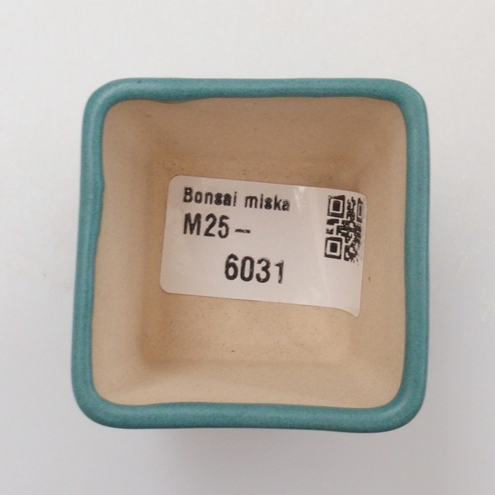 Ciotola bonsai in ceramica 6,5 x 5,5 x 4 cm, colore blu