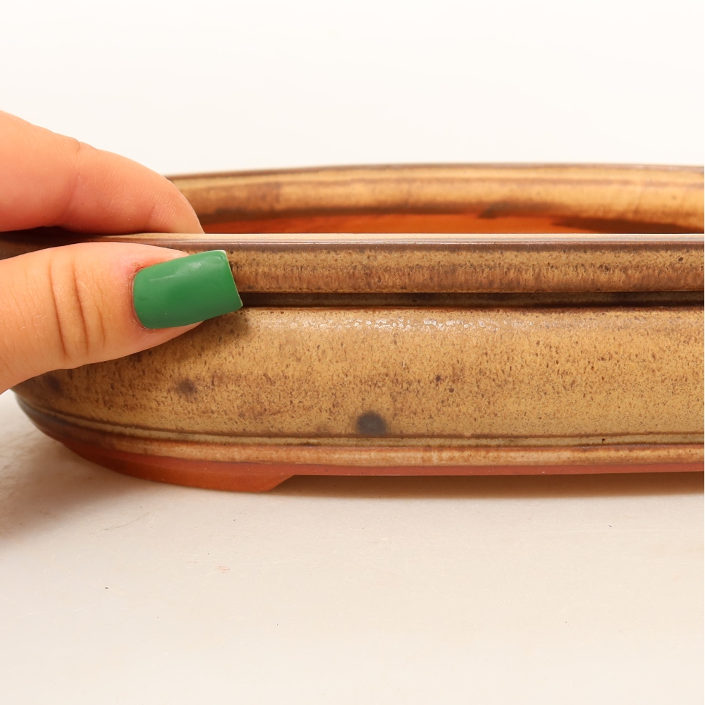 Conchiglia in ceramica  26 x 18,5 x 5 cm, colore marrone