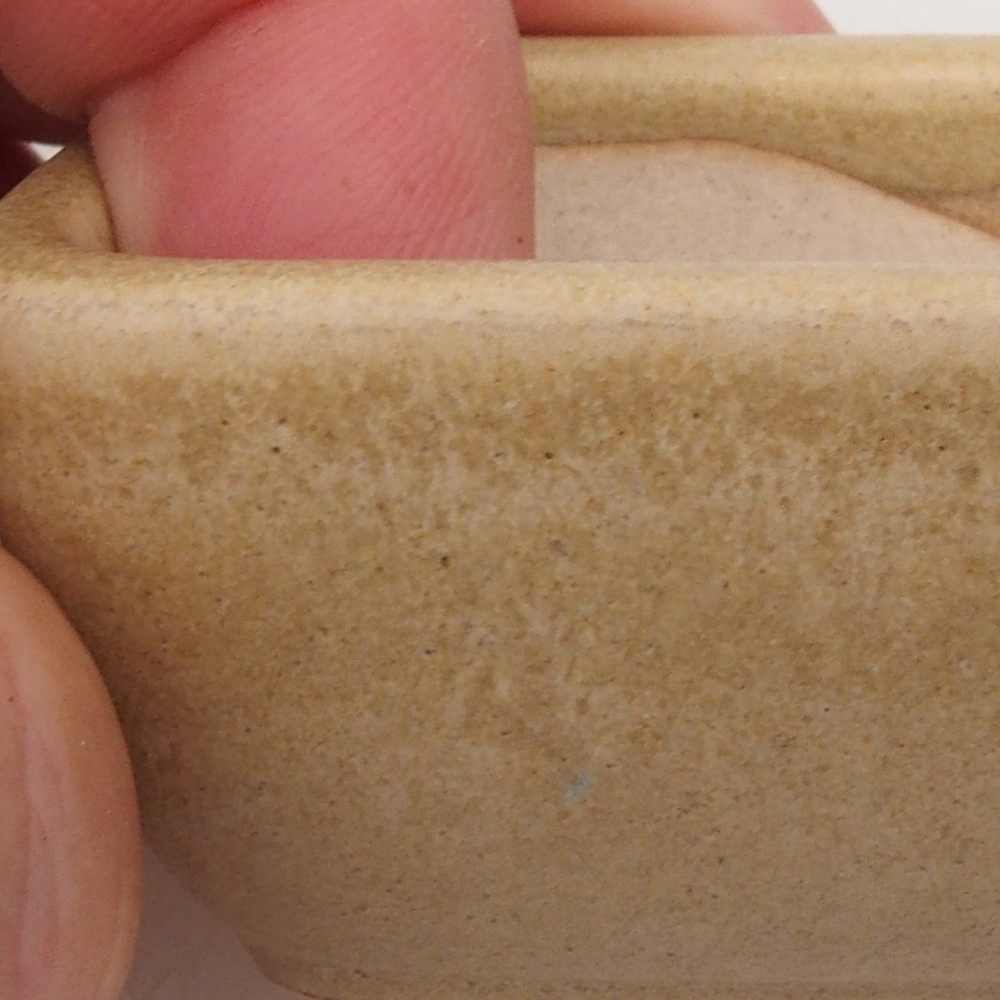 Ciotola per mini bonsai 5,5 x 4,5 x 2,5 cm, marrone