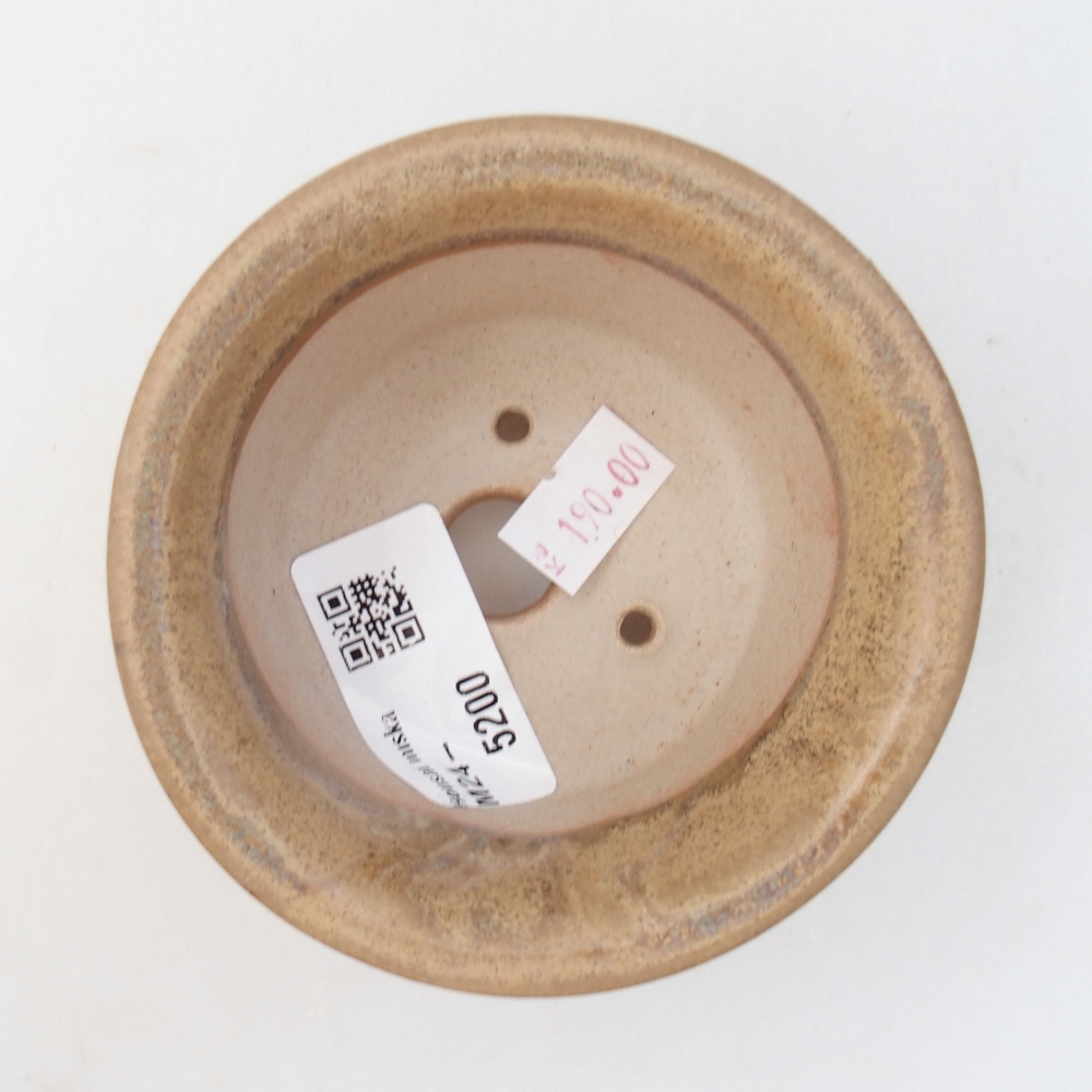 Ciotola bonsai in ceramica 9 x 9 x 5 cm, colore beige