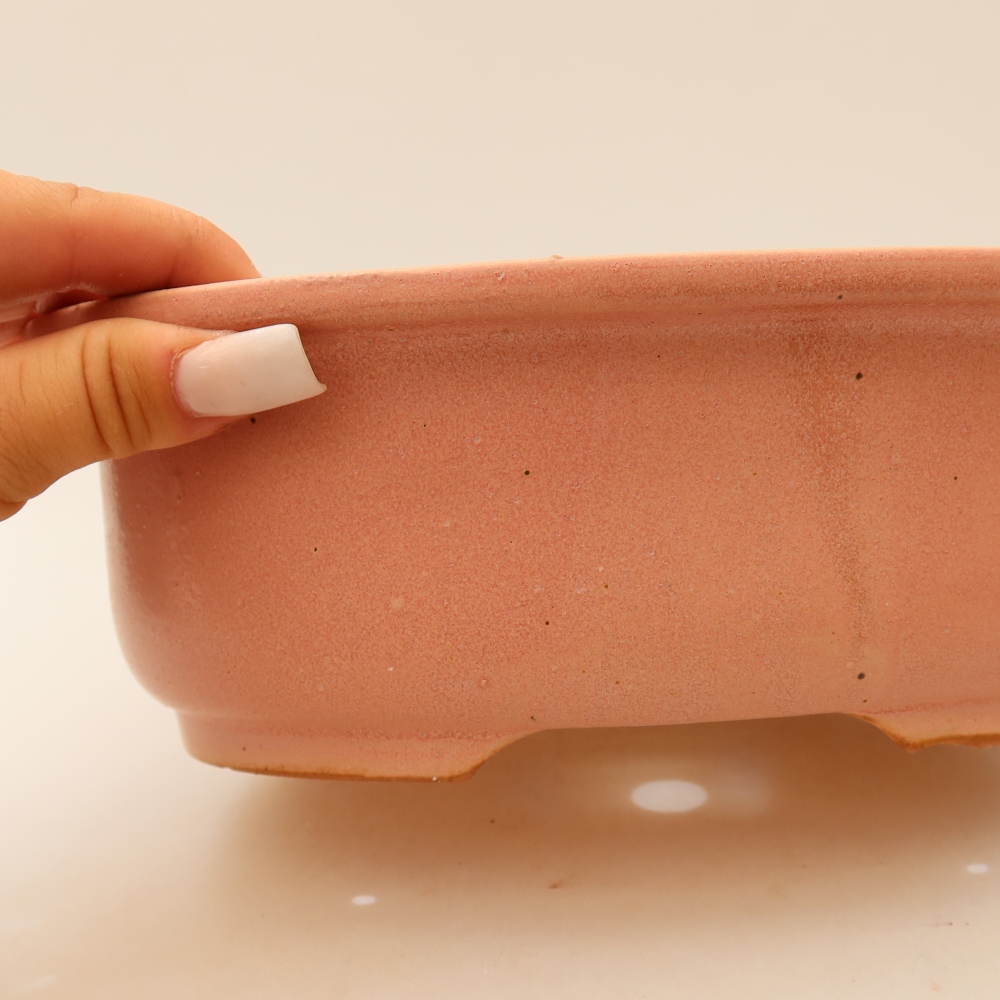 Vaso da bonsai in ceramica 23 x 19 x 8 cm, colore rosa