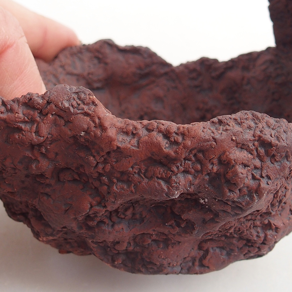 Conchiglia in ceramica 9 x 7,5 x 9 cm , colore marrone