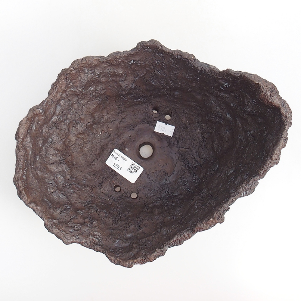 Conchiglia in ceramica 23 x 20 x 18 cm , colore marrone