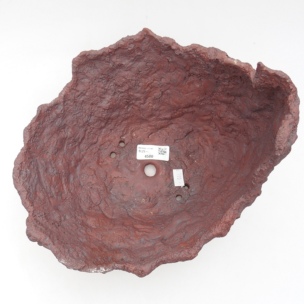 Conchiglia in ceramica 23 x 25 x 21 cm , colore marrone