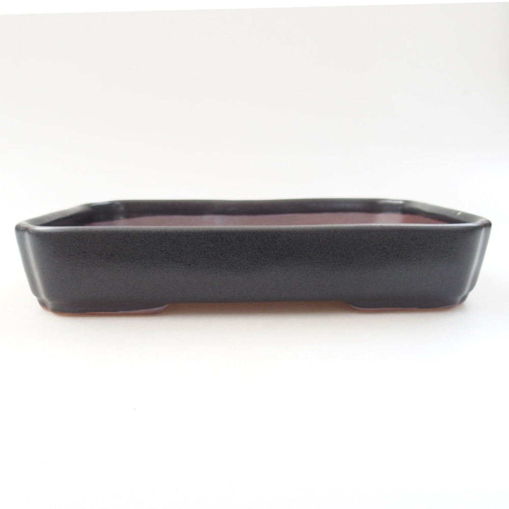 Ciotola bonsai in ceramica 22 x 17 x 5 cm, verde