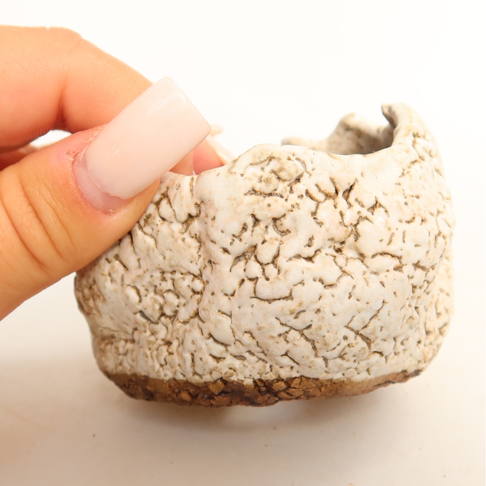 Conchiglia in ceramica  7 x 7 x 6 cm, colore bianco