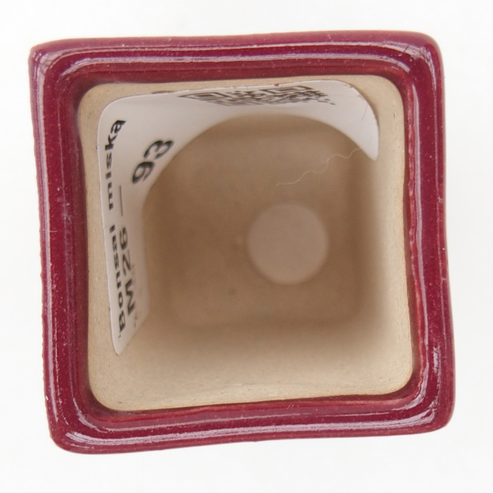 Mini bonsai 3 x 3 x 5,5 cm, bordeaux