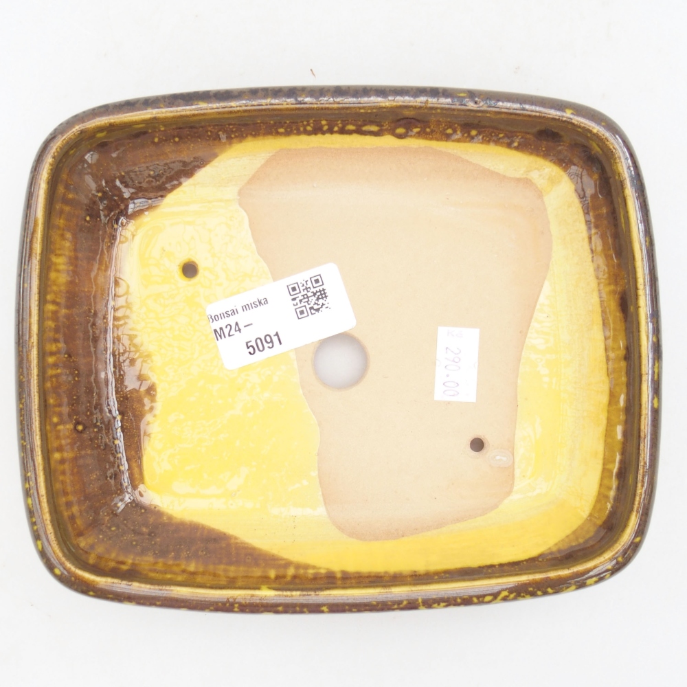 Ciotola bonsai in ceramica 17 x 14 x 3,5 cm, giallo