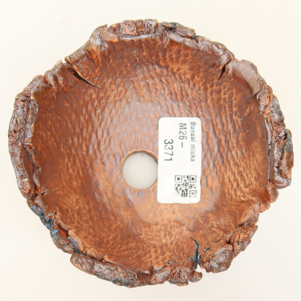 Guscio in ceramica 11 x 10,5 x 6,5 cm, colore blu