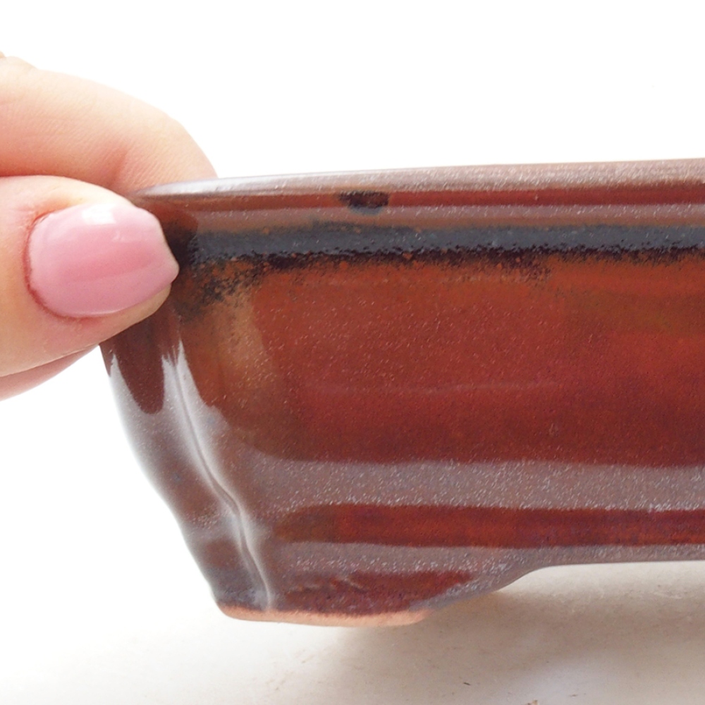 Ciotola per bonsai in ceramica 16 x 12 x 5 cm, marrone