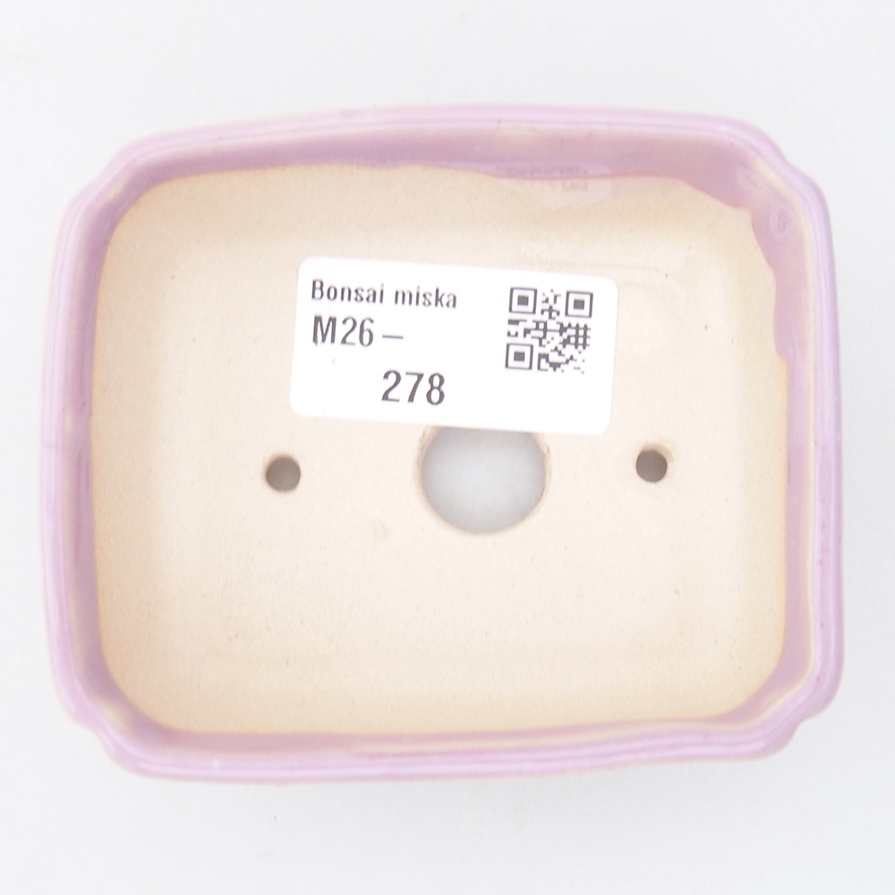 Mini bonsai 8,5 x 7,5 x 3 cm, rosa