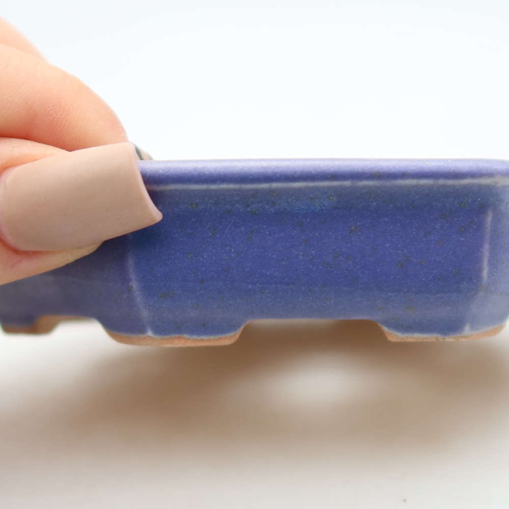 Vaso da bonsai in ceramica 11,5 x 11,5 x 2,5 cm, colore viola