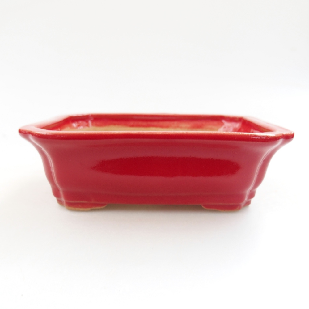 Ciotola bonsai in ceramica 22 x 17 x 5 cm, verde