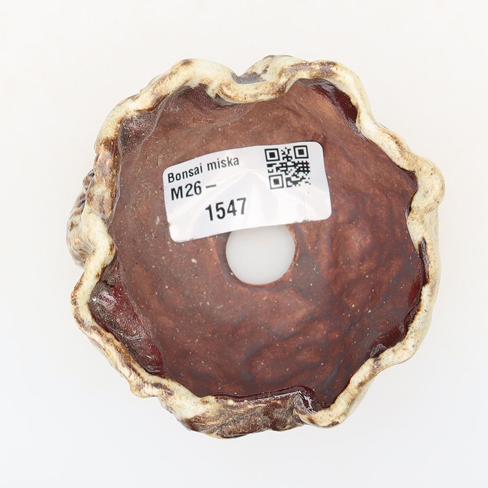 Guscio in ceramica  7 x 7 x 5 cm, colore marrone-bianco