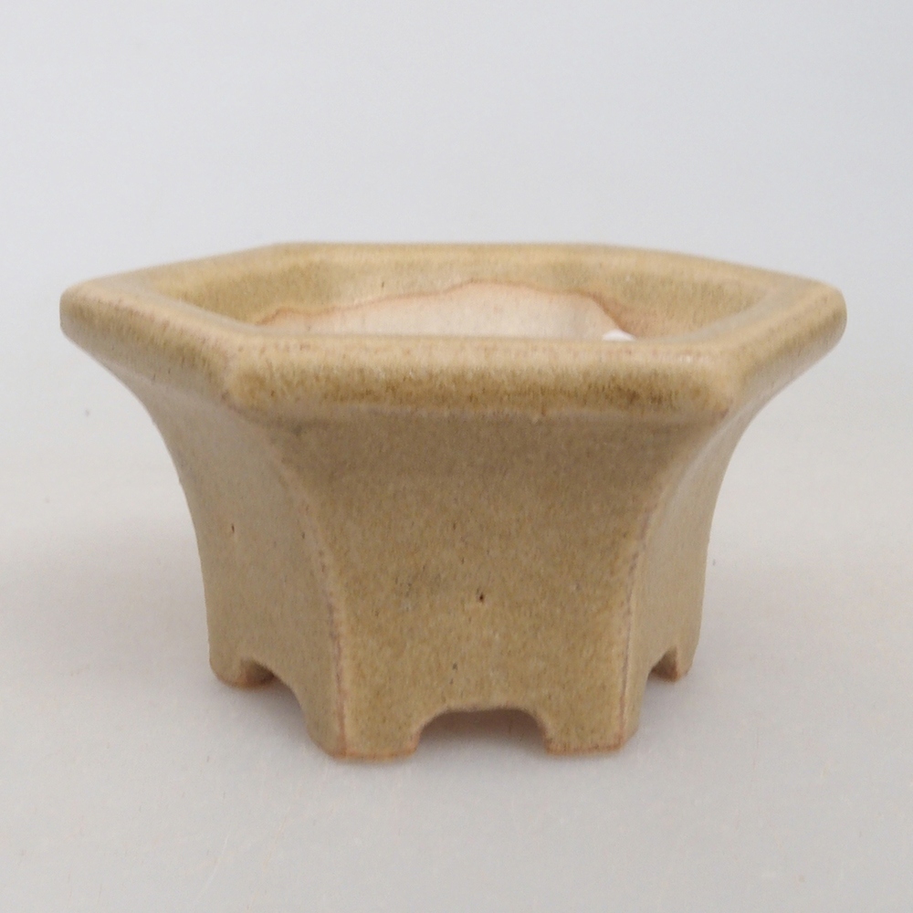 Mini bonsai 4,5 x 4,5 x 2,5 cm, marrone