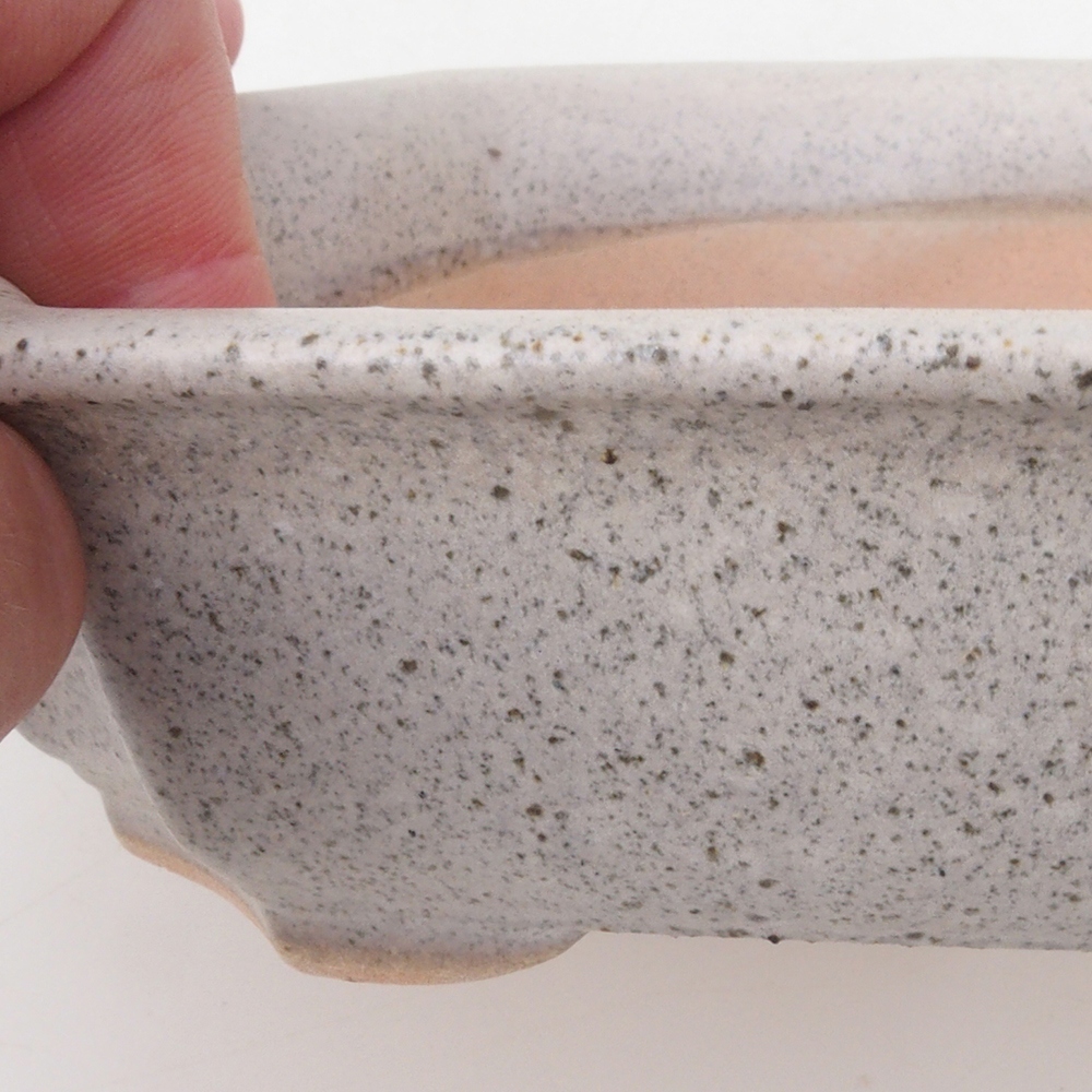 Ciotola per bonsai H17 - 15 x 10 x 4 cm - beige