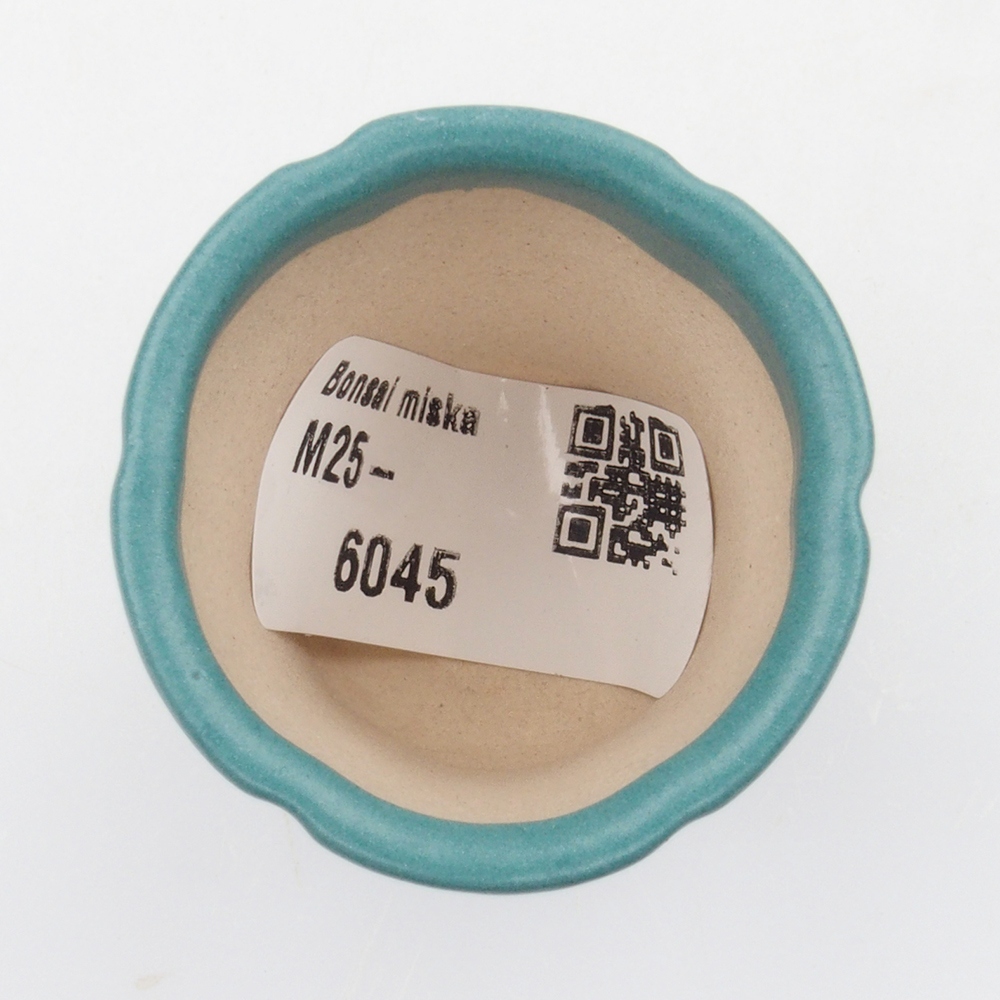 Ciotola bonsai in ceramica 6,5 x 5,5 x 4 cm, colore blu