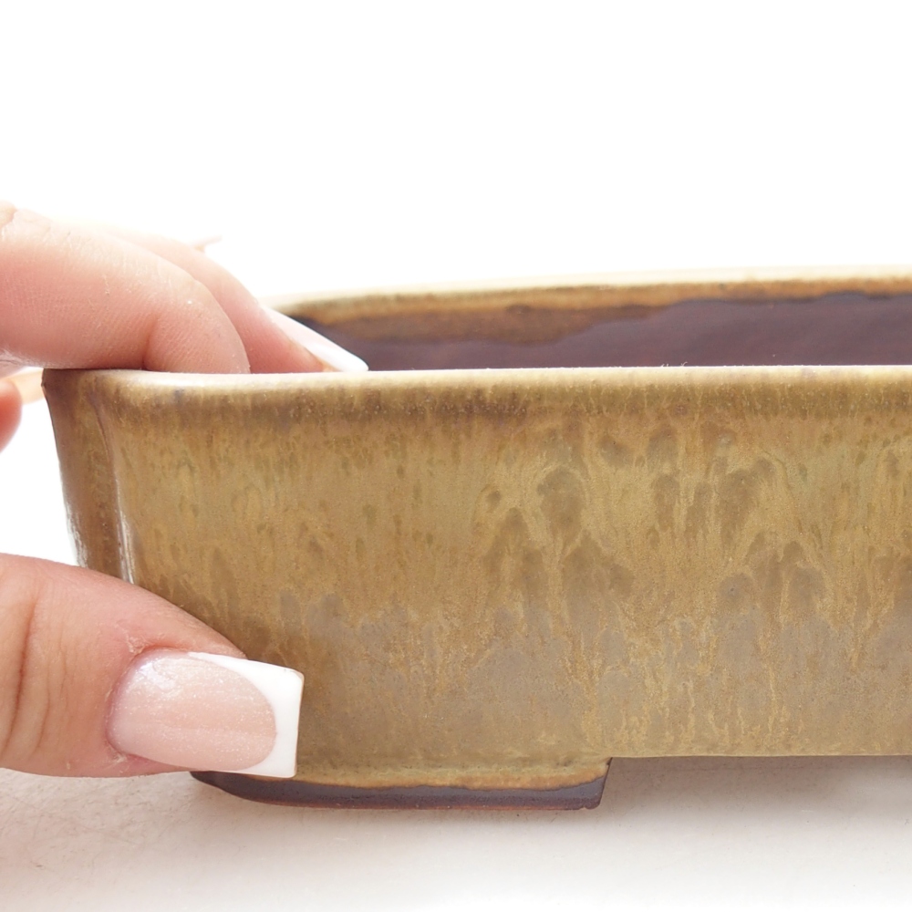 Ciotola per bonsai in ceramica 17,5 x 14 x 5 cm, verde