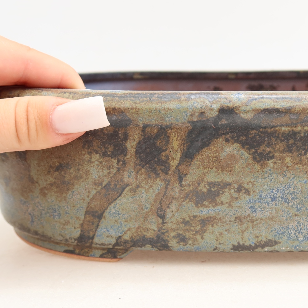 Vaso da bonsai in ceramica 31,5 x 24 x 8 cm, colore marrone-blu