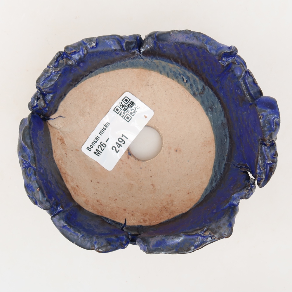 Guscio in ceramica  11,5 x 10,5 x 6 cm, colore blu