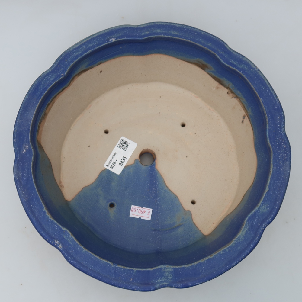 Ciotola bonsai in ceramica 26,5 x 26,5 x 8,5 cm, colore blu