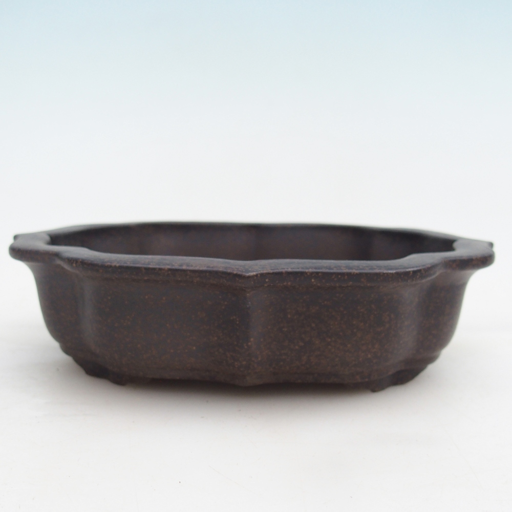 Ciotola per bonsai in ceramica 16,5 x 13 x 4 cm, colore marrone ocra