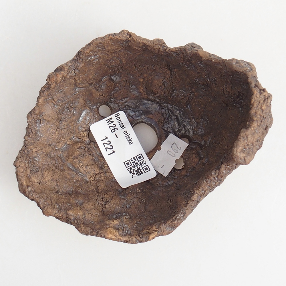 Conchiglia in ceramica 10 x 8 x 9,5 cm , colore marrone