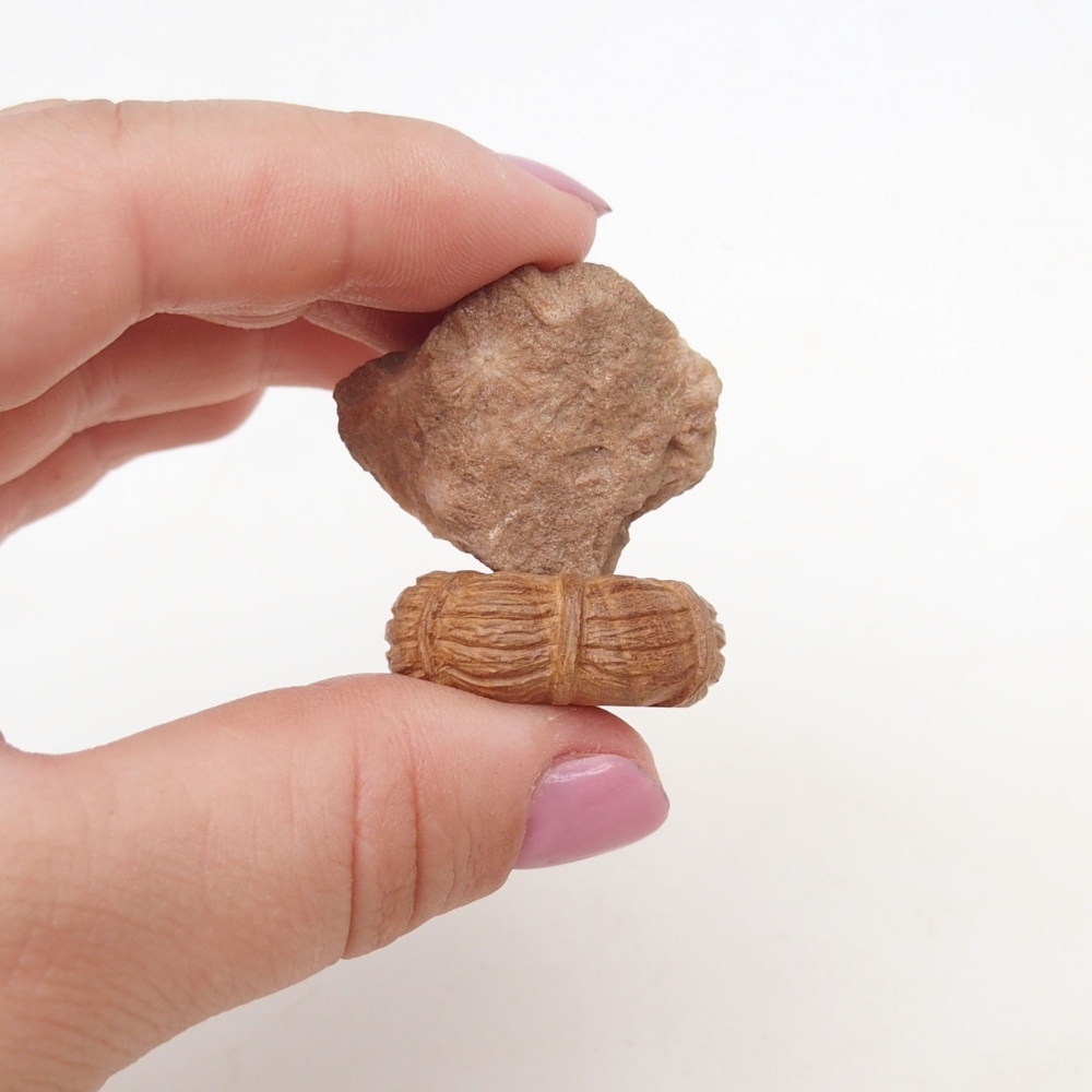 Suiseki - Pietra con DAI (base in legno)