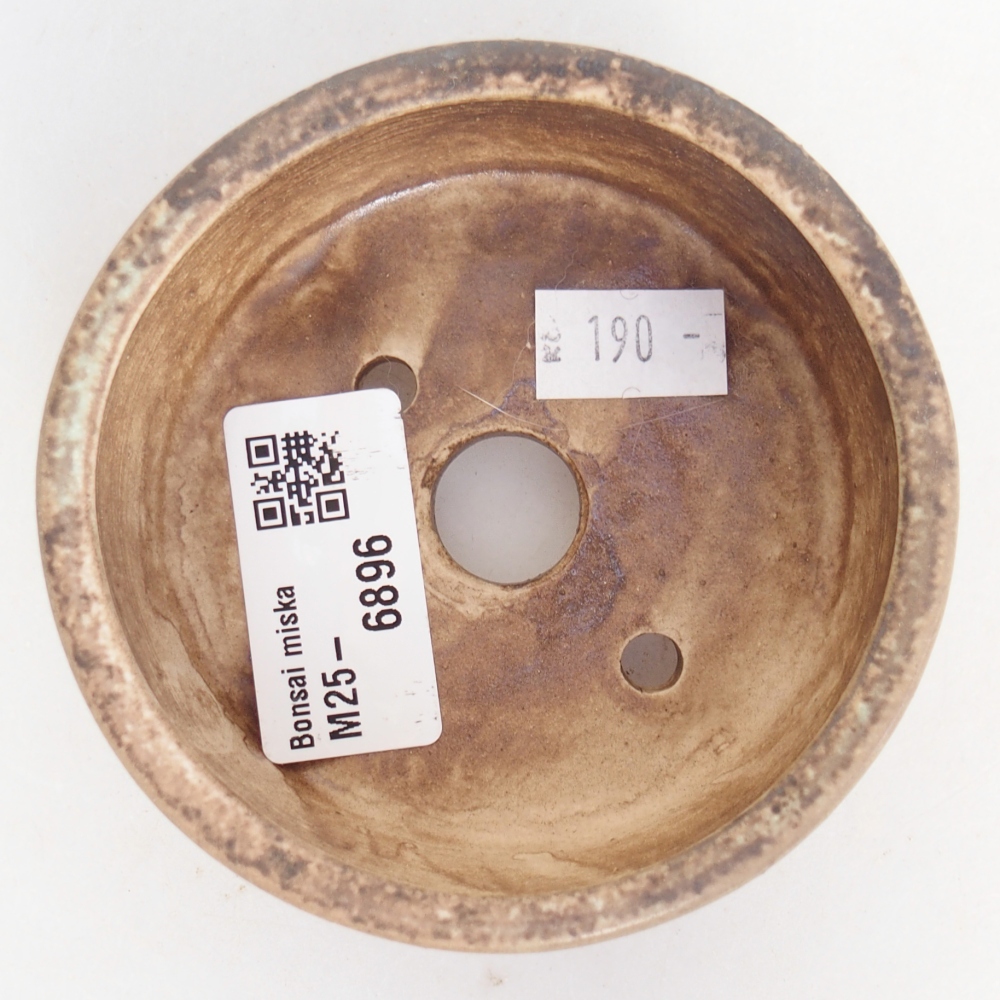 Ciotola per bonsai in ceramica 9 x 9 x 3,5 cm, verde