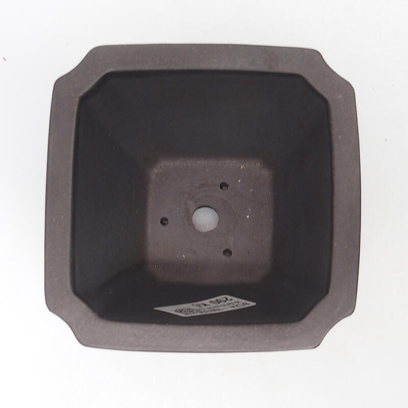 Ciotola per bonsai 10 x 10 x 10 cm, colore marrone ocra