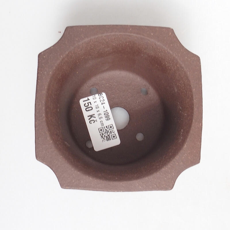 Ciotola per bonsai 10 x 10 x 7 cm, marrone