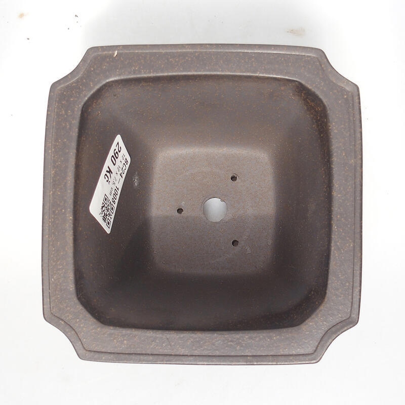 Ciotola per bonsai 12 x 12 x 7,5 cm, colore marrone ocra