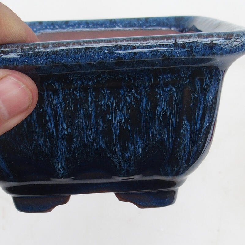 Ciotola per bonsai 12 x 12 x 7 cm, colore blu