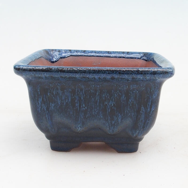 Ciotola per bonsai 12 x 12 x 7 cm, colore blu