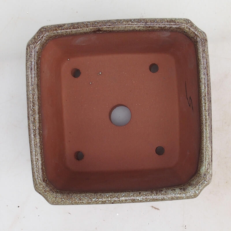 Ciotola per bonsai 12 x 12 x 8 cm, marrone