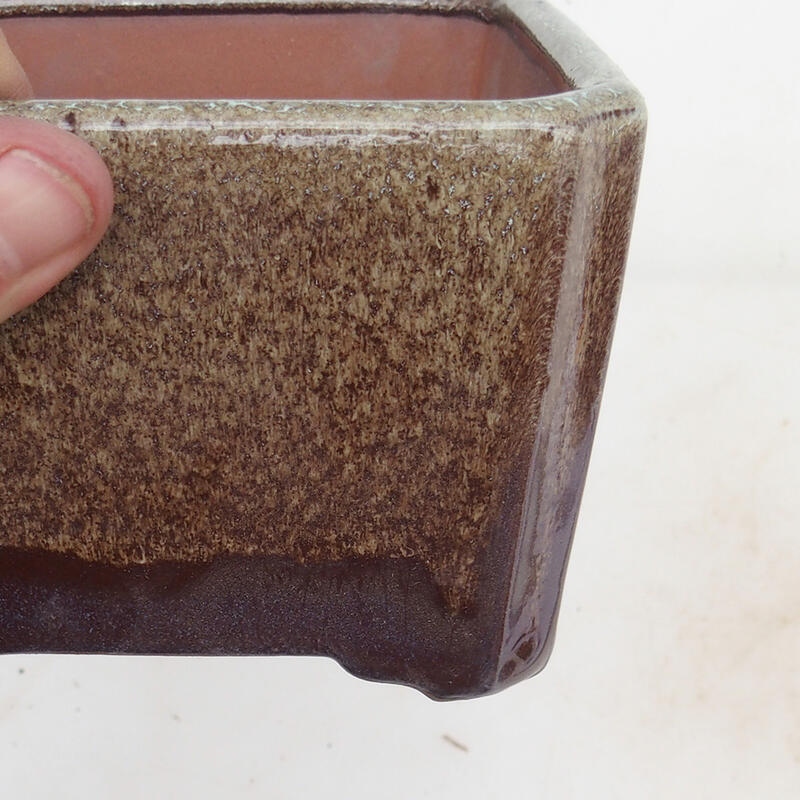 Ciotola per bonsai 12 x 12 x 8 cm, marrone