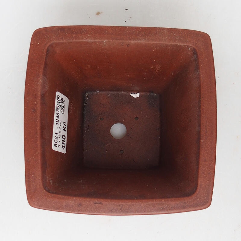 Ciotola per bonsai 12 x 12 x 9 cm, marrone