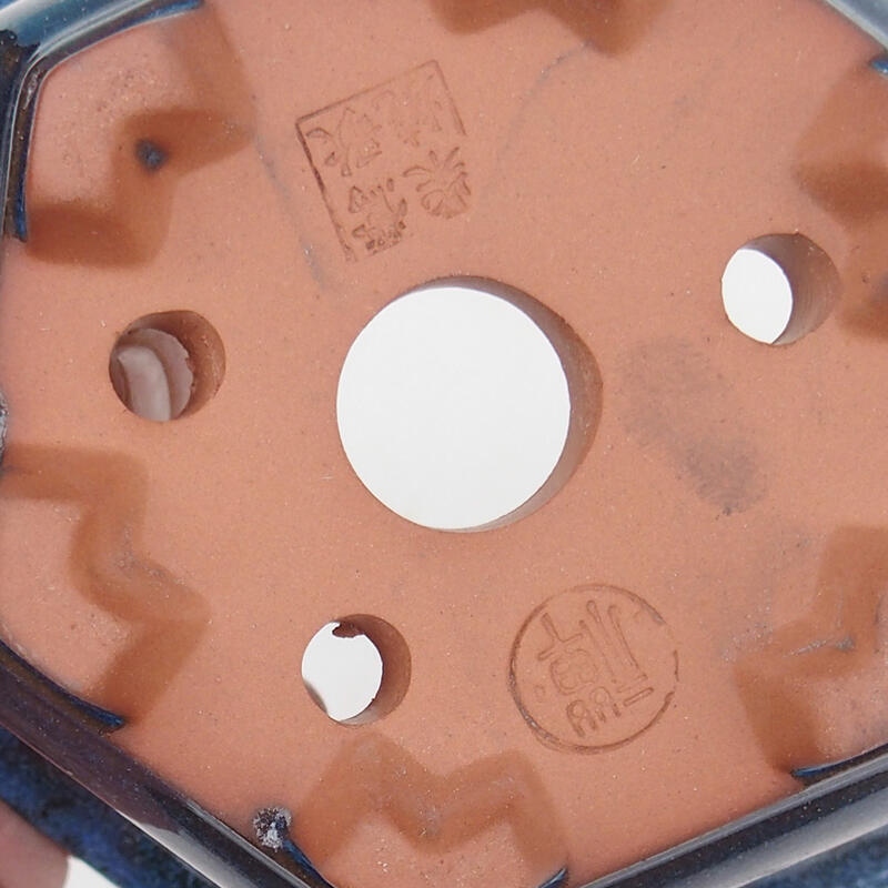 Ciotola bonsai 13 x 12 x 7 cm, colore blu