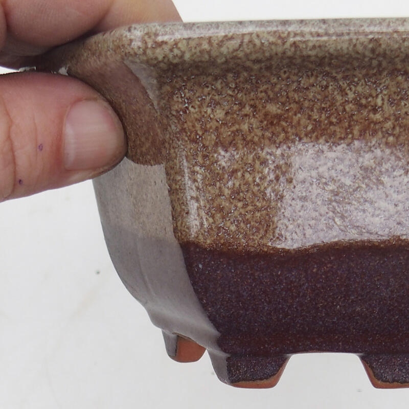 Ciotola per bonsai 13 x 12 x 7 cm, colore marrone bordeaux