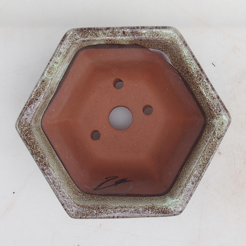 Ciotola per bonsai 13 x 12 x 7 cm, colore marrone bordeaux