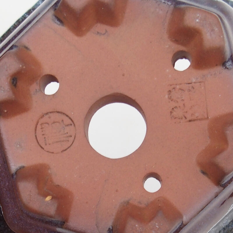 Ciotola bonsai 13 x 12 x 7 cm, colore grigio bordeaux