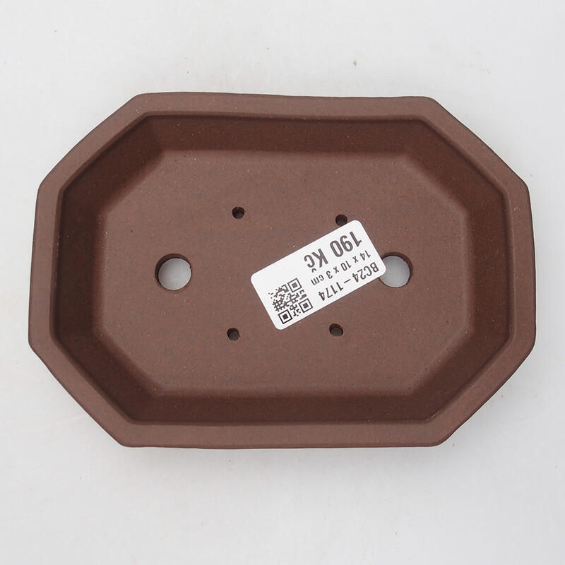 Ciotola per bonsai 14 x 10 x 3 cm, marrone