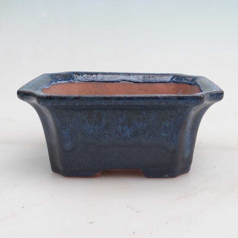 Ciotola per bonsai 14 x 12 x 6 cm, colore blu