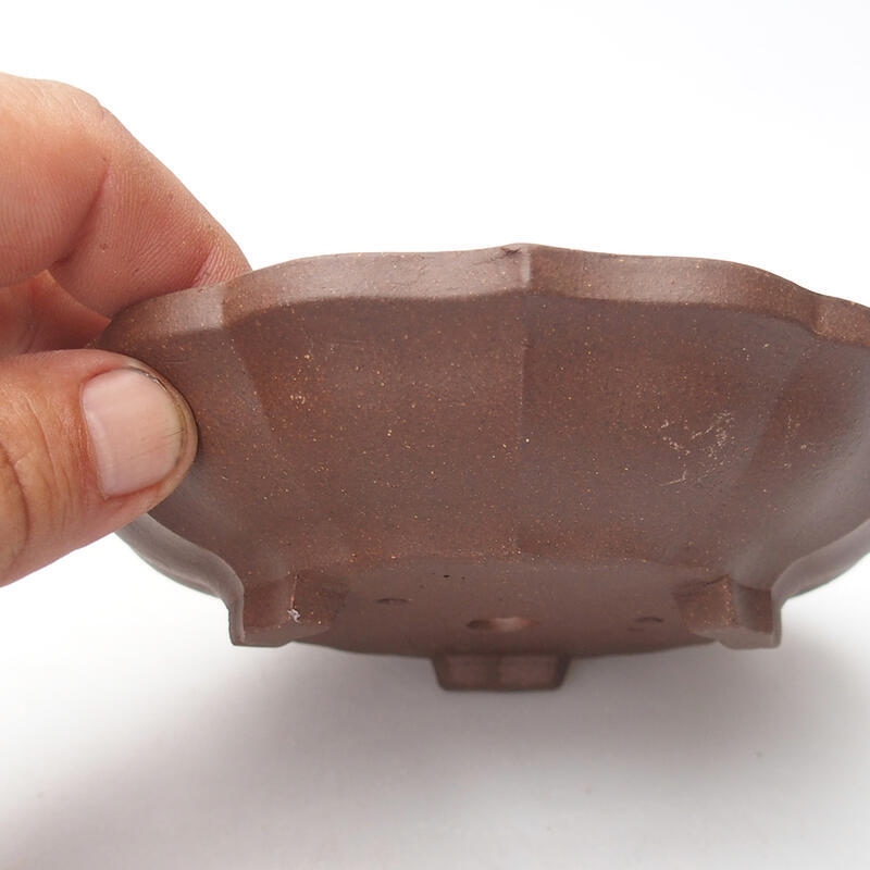 Ciotola per bonsai 14 x 14 x 3,5 cm, marrone