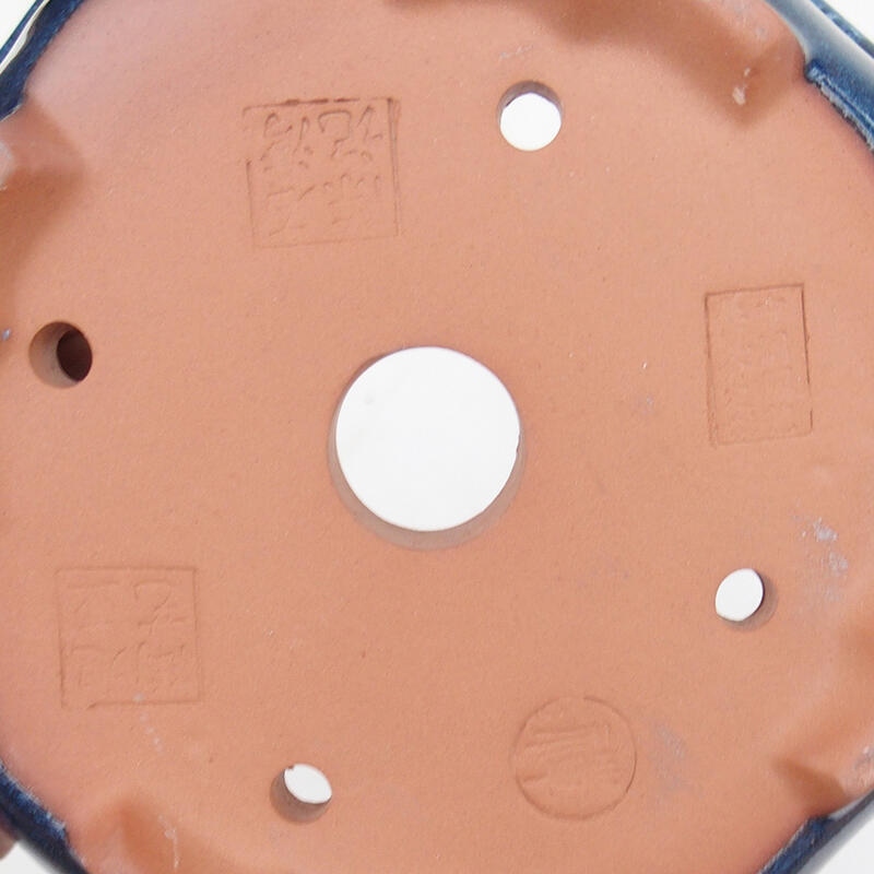 Ciotola bonsai 14 x 14 x 5,5 cm, colore blu