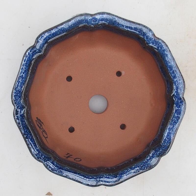 Ciotola bonsai 14 x 14 x 5,5 cm, colore blu